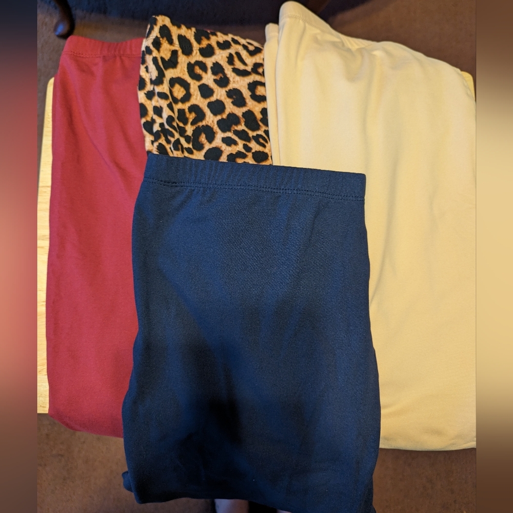 Showitty NWOT 4 Fleece Legging pants